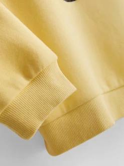 1-9 años | Sudadera de los Minions