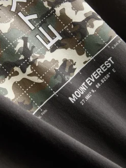 Camiseta con estampado gráfico «Mount Everest»