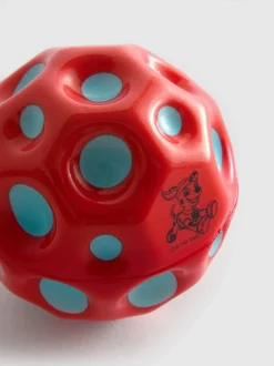 Pelota de Paw Patrol