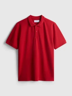Polo elástico básico